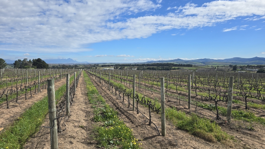 Commercial Property for Sale in Stellenbosch Farms Western Cape